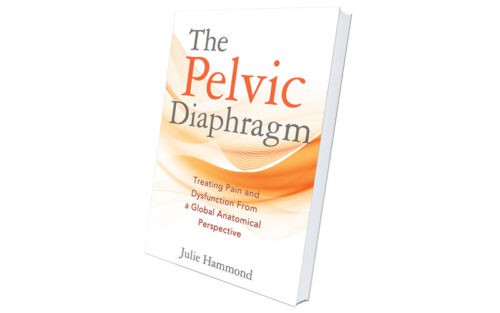 The Pelvic Diaphragm Book