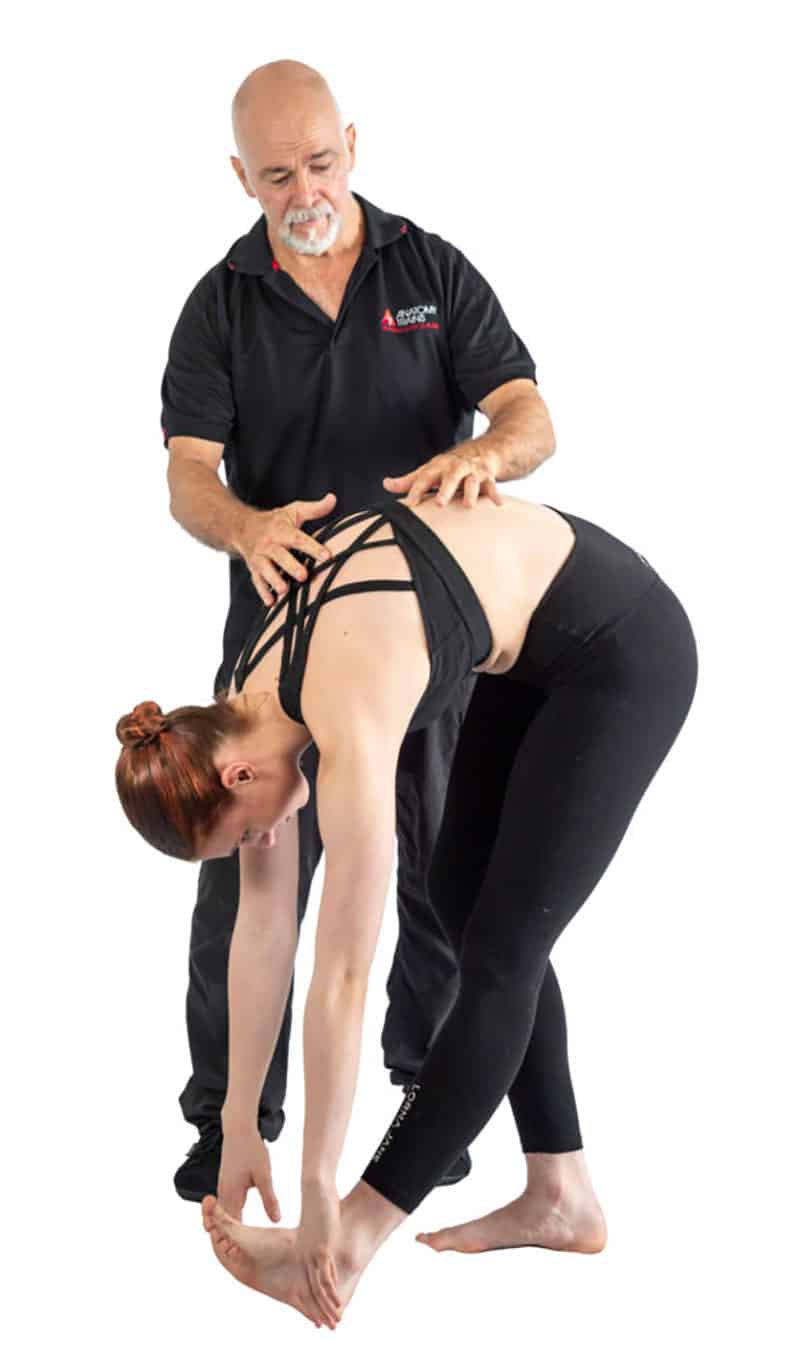 anatomy-trains-for-performance-course