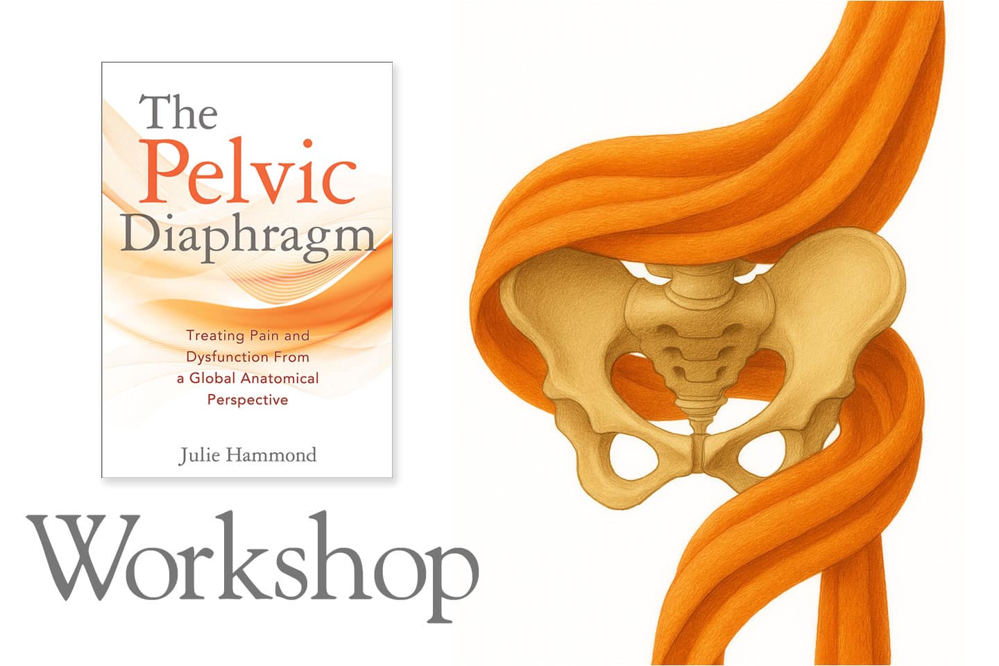 anatomy-trains-pelvic-diaphram-workshop