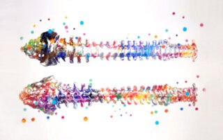 blog-our-spine