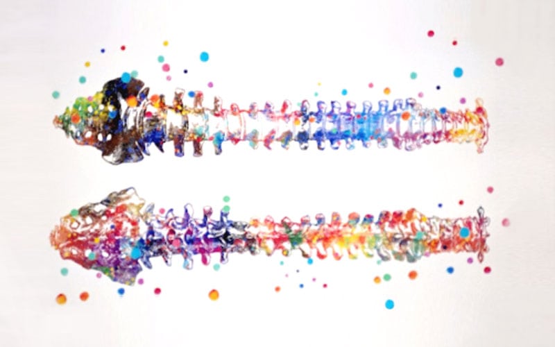 blog-our-spine
